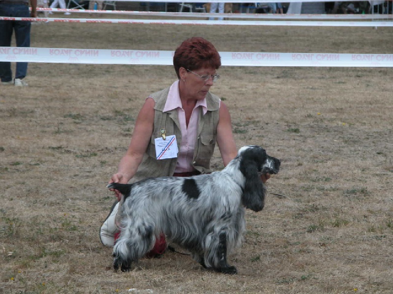 CH. TR. Marius du charme aux loups