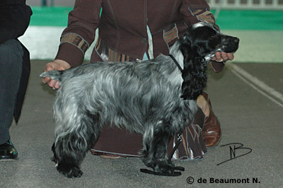 China's  nigth du charme aux loups