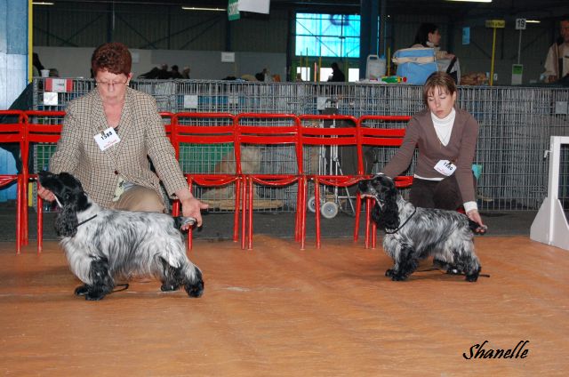 CH. TR. Savannah gala girl du charme aux loups